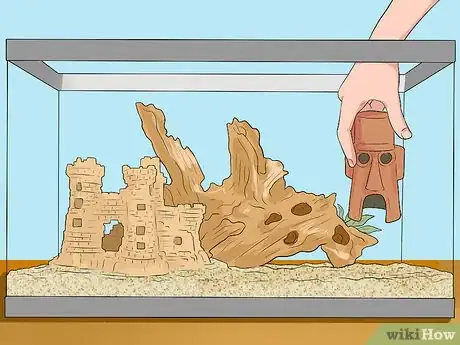 Image titled Make Aquarium Setups Stand Out Step 18