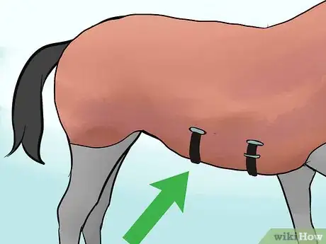 Image titled Make a Horse Blanket Step 9