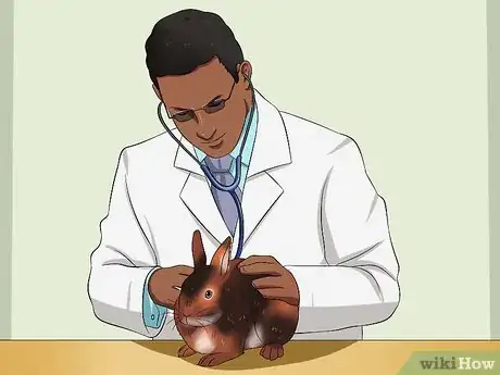 Image titled Care For an Elderly Rabbit Step 1