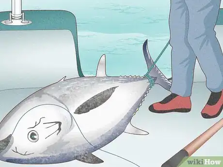 Image titled Catch Bluefin Tuna Step 16