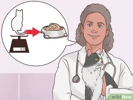 Image titled Avoid Overfeeding Your Cat Step 1