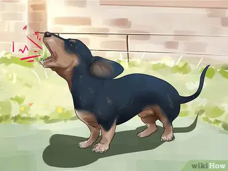 Image titled Get Your Two Dogs to Stop Fighting Step 8