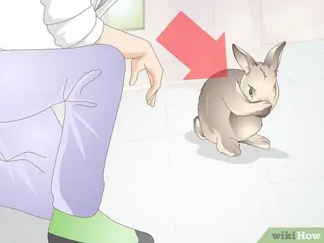 Image titled Diagnose Heat Stroke in Rabbits Step 1