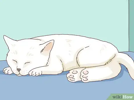 Image titled Tell if Your Cat Is Depressed Step 4