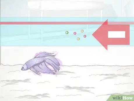 Image titled Feed a Betta Fish Step 2