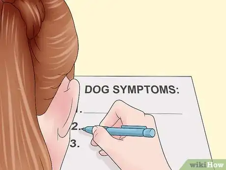 Image titled Spot Signs of Muscle Loss in Dogs Step 11