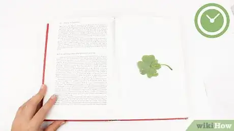 Image titled Preserve Four Leaf Clovers Step 4