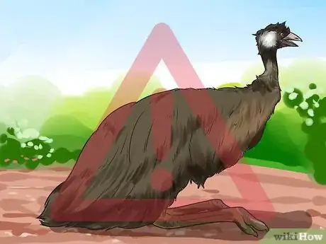 Image titled Diagnose Illness in an Emu Step 8