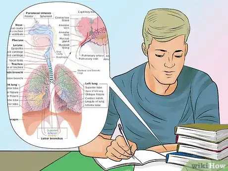 Image titled Study Anatomy Step 3