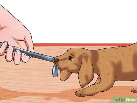 Image titled Obedience Train Your Puppy Before It's 10 Weeks Old Step 8