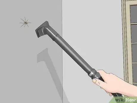 Image titled Kill Brown Recluse Spiders Step 2