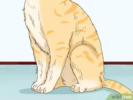 Image titled Tell if Your Cat Is Depressed Step 7