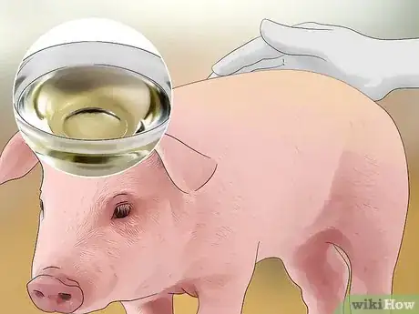 Image titled Prevent Lice and Mites Infesting Your Pigs Step 11