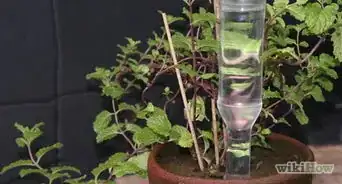 Create an Automatic Plant Watering Device from a Hot Sauce Bottle