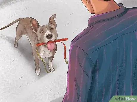 Image titled Teach a Dog to Tell You when He Wants to Go Outside Step 7