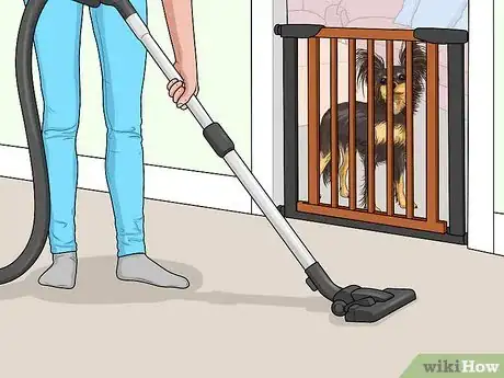 Image titled Keep a Dog from Chasing the Vacuum Cleaner Step 3