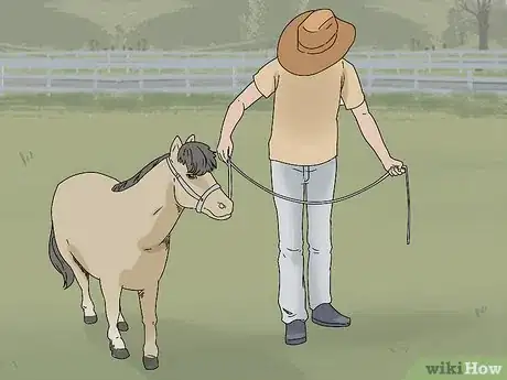 Image titled Keep a Miniature Horse Fit Step 11