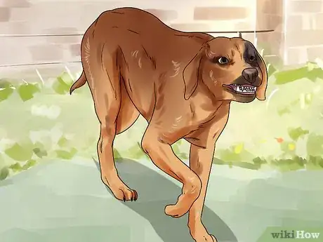 Image titled Get Your Two Dogs to Stop Fighting Step 7