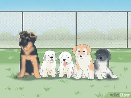 Image titled Get Your Puppy to Stop Biting Step 9