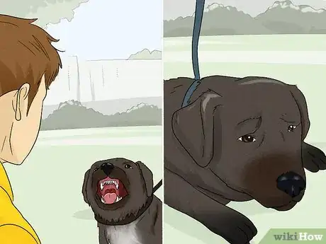 Image titled Remove a Dog from an Unsafe Environment Step 2