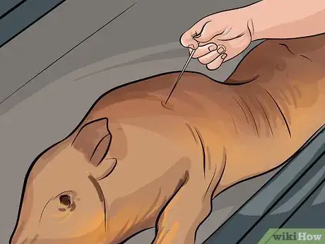 Image titled Cook a Whole Pig Step 11