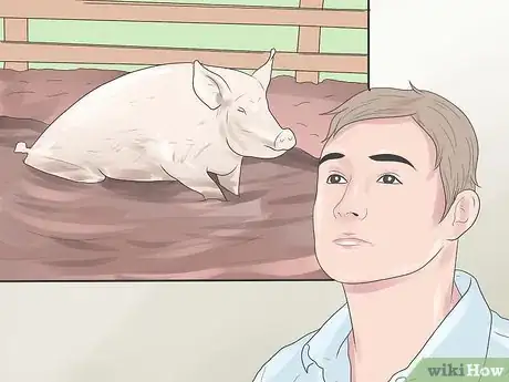 Image titled Raise Pigs Step 4