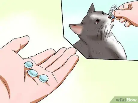 Image titled Train Your Cat to Come to You Step 1