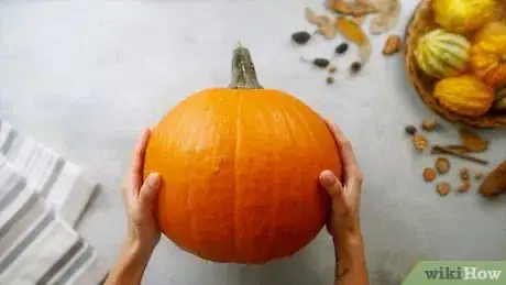 Image titled Preserve a Pumpkin Step 14