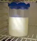 Maintain Kefir Grains