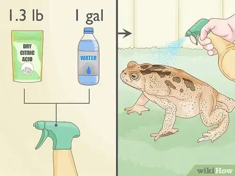 Image titled Get Rid of Frogs Step 12