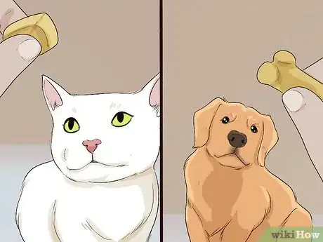 Image titled Introduce a Cat to a Dog Step 11