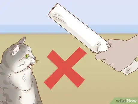 Image titled Teach Your Cat to Sit Step 10