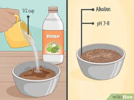 Image titled Do a Home Soil Test Step 11