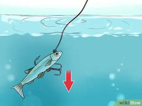 Image titled Do Jig Fishing Step 6