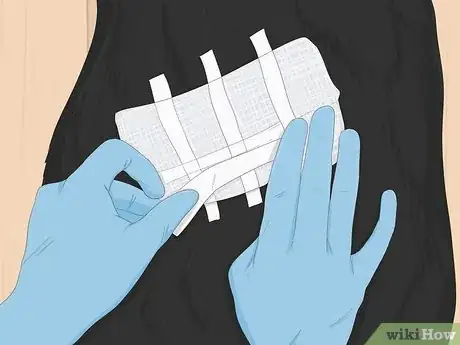 Image titled Remove a Dog’s Skin Tags at Home Step 8