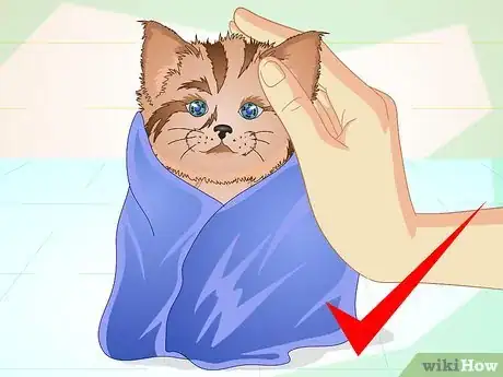 Image titled Get a Sick Kitten to Eat Step 10