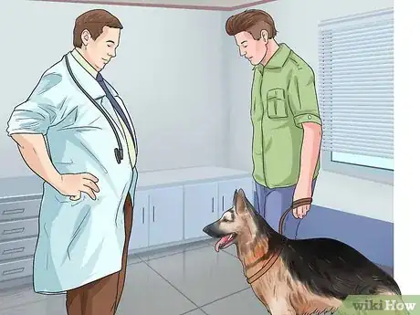 Image titled Diagnose Dysplasia in German Sheperds Step 6