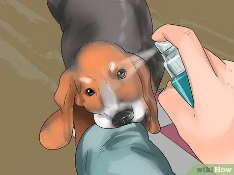 Image titled Get a Dog to Stop Pulling Clothes off the Line Step 8