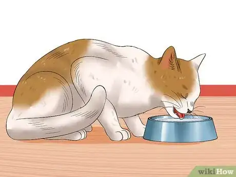 Image titled Keep a Cat Safe Outside Step 15