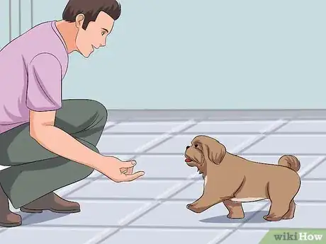 Image titled Train Your Shih Tzu Step 7