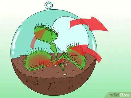 Image titled Care for Venus Fly Traps Step 6