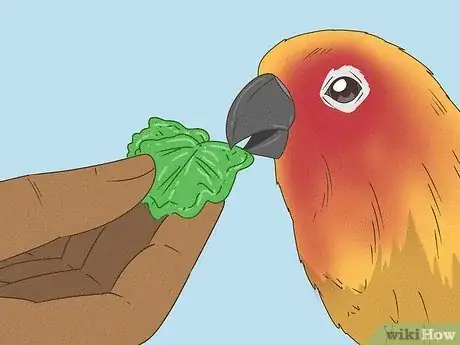 Image titled Teach a Conure to Talk Step 7