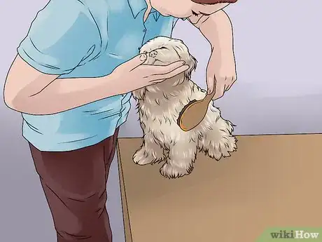 Image titled Bathe a Shih Tzu Step 10