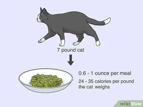 Image titled Feed an Overweight Cat Step 6