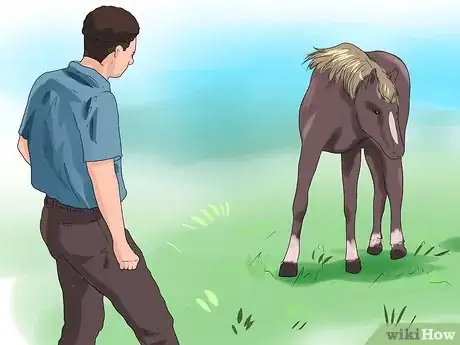 Image titled Approach Your Horse Step 3