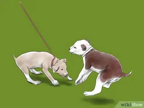 Image titled Train a Pit Bull Step 13