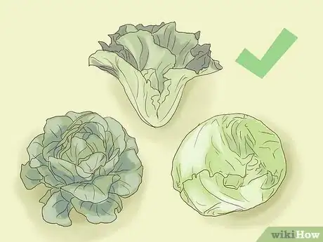 Image titled Plant Lettuce Step 1