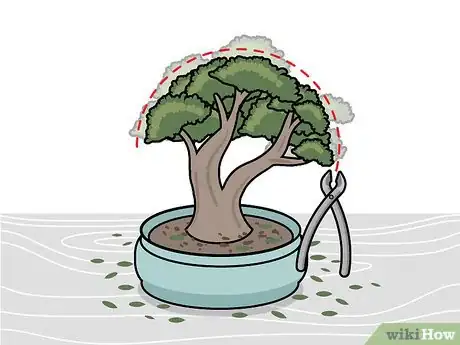 Image titled Prune a Bonsai Tree Step 7