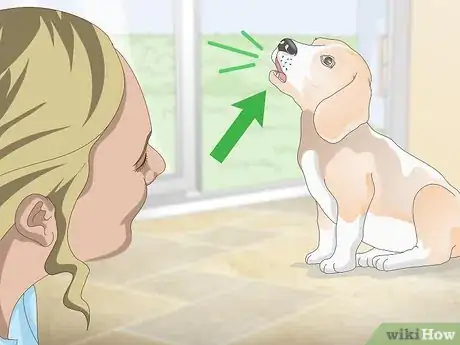 Image titled Teach Your Dog to Howl Step 1