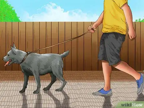 Image titled Start a Dog Walking Service Step 3